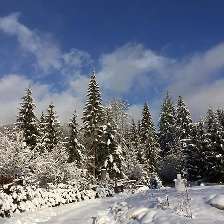 샬레 Mlynna Mýto pod Ďumbierom