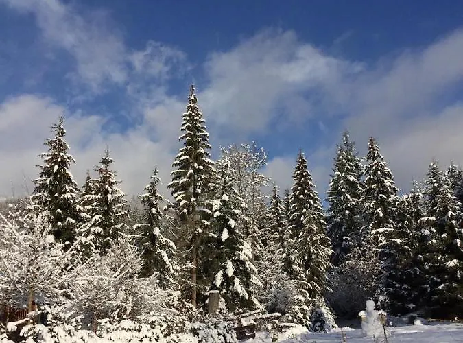 Chalet Mlynná Mýto pod Ďumbierom